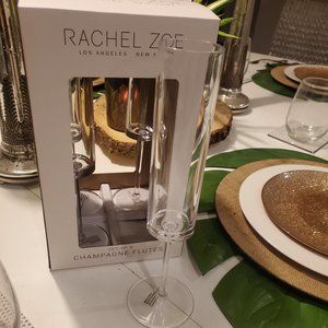 Rachel Zoe Clear Acrylic Wine Flutes **Only one left***
